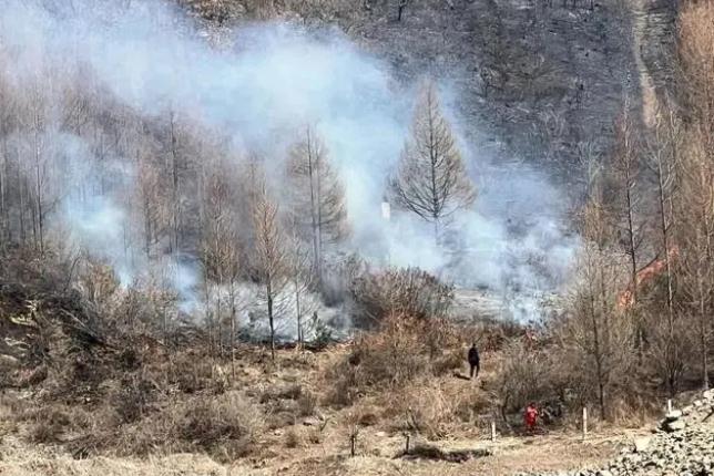 明火已撲滅，初步判斷由祭祀用火引發(fā)！今年已發(fā)生多起